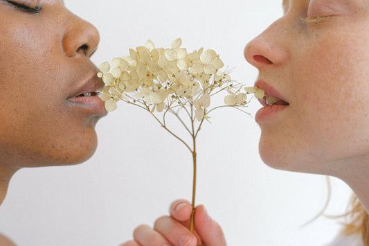 Sniff Test: Navigating the Etiquette of Sampling Skincare Products