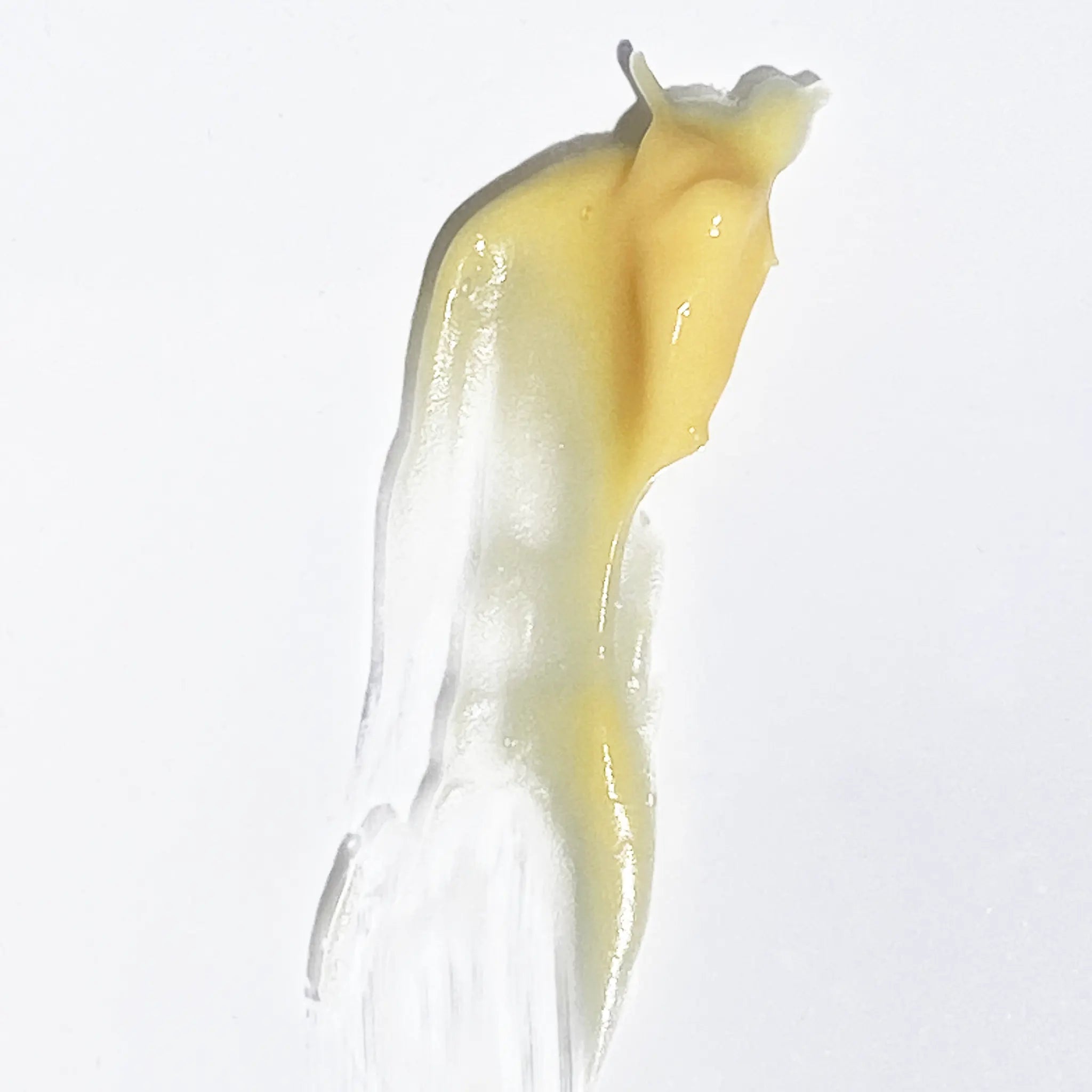 Bakuchiol Retinol Night Repair Cream By Valenti Organics Natural Skin Care