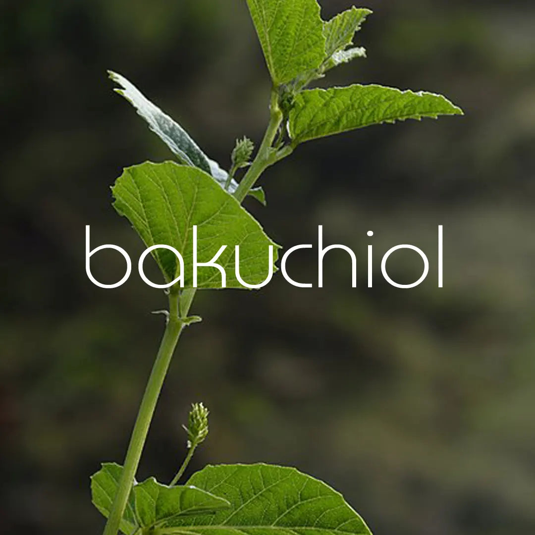 Introducing By Valenti Organics Bakuchiol Retinol Alternative Smoothing Serum.