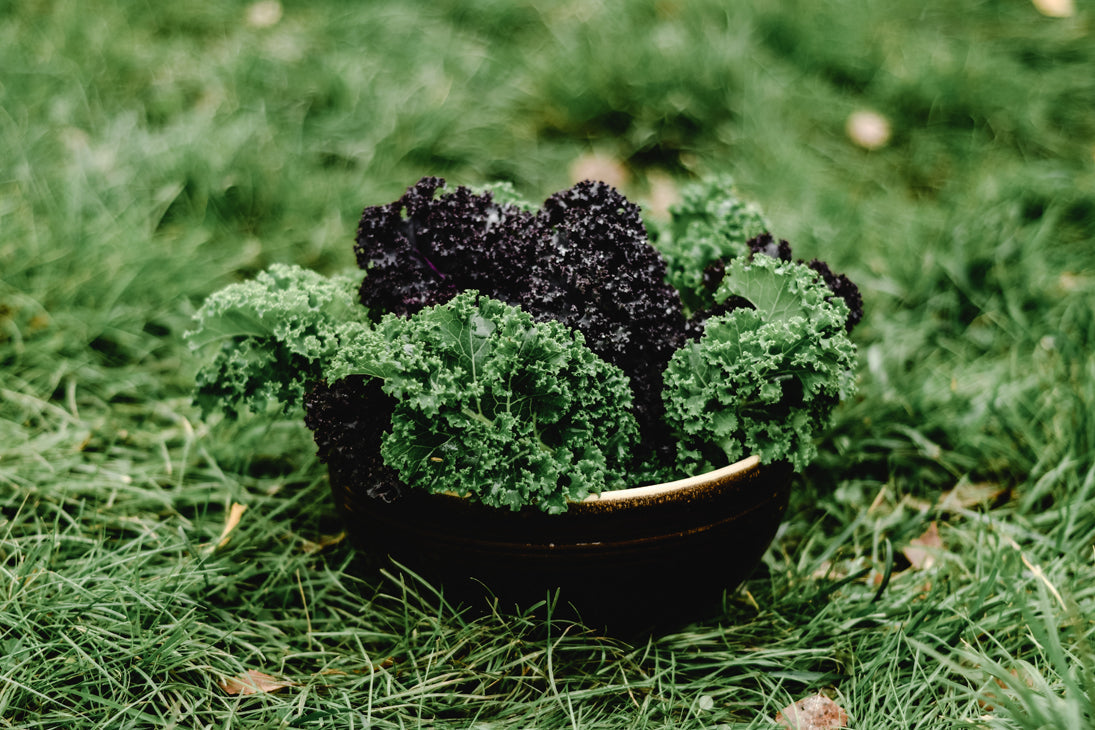 Raw Vegetables That Aren’t Always Good for Your Health