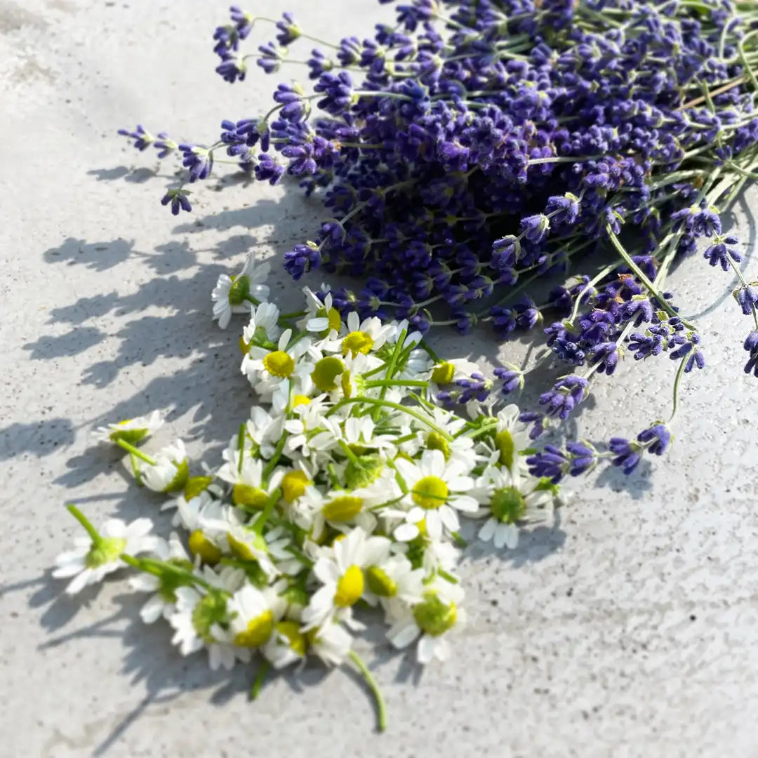 Lavender & Chamomile By Valenti Organics